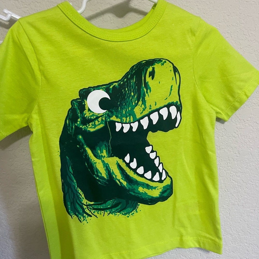 Dinosaur shirt